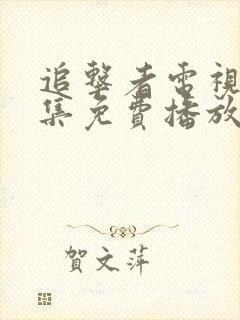 追击者电视剧全集免费播放高清