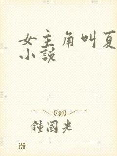 女主角叫夏晴的小说