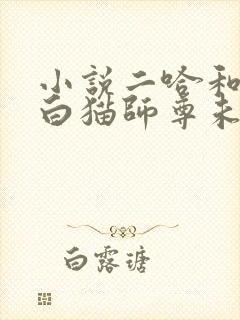 小说二哈和他的白猫师尊未删减版