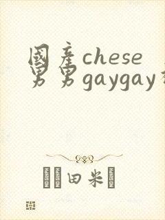 国产chese男男gaygay视频网站