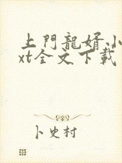 上门龙婿小说txt全文下载