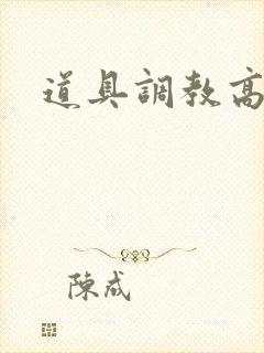 道具调教高辣文