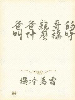 爸爸亲哥的老婆叫什么称呼