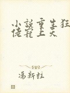 小说重生狂妻大佬宠上天封面