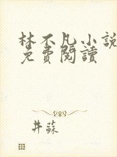 林不凡小说全文免费阅读