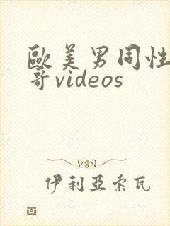 欧美男同性恋帅哥videos封面