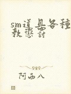 sm道具各种调教惩罚封面