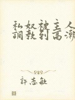 私奴被主人玩弄调教到高潮小说