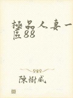 极品人妻一区二区88