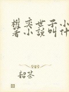 权奕世子小说原著小说叫什么名字