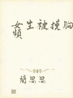 女生被摸胸的视频