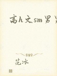 高h文sm男男