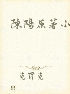 陈阳原著小说封面