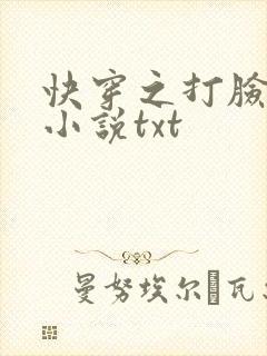快穿之打脸狂魔小说txt