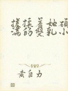 搓揉着她硕大丰满的双乳小说