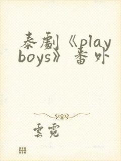 泰剧《playboys》番外封面