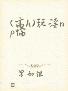 (高h)玩淫np伦