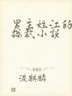 男主姓江的现代总裁小说