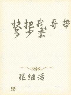 快把我哥带走有多少季