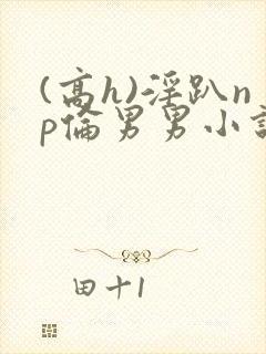 (高h)淫趴np伦男男小说