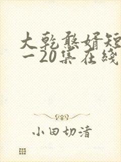 大乾憨婿短剧1一20集在线看