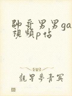 帅哥男男gay视频p站