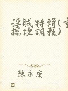 淫贼特辑(重口总攻调教)