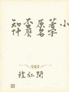 知否原著小说叫什么名字