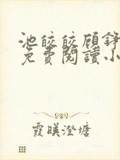 池皎皎顾铮全文免费阅读小说封面