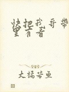 快把我哥带走哪里有看封面