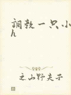 调教一只小母狗h
