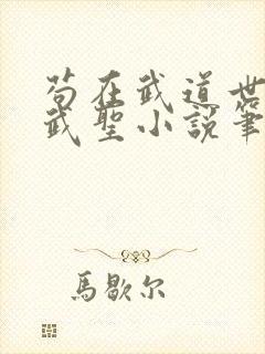 苟在武道世界成武圣小说笔趣阁
