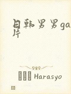 日韩男男gay片封面