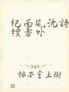 纪南风沈诗澜后续番外封面