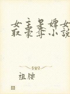 女主是婢女被强取豪夺小说封面