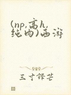 (np,高h,纯肉)西游