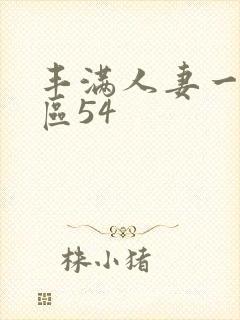 丰满人妻一区二区54