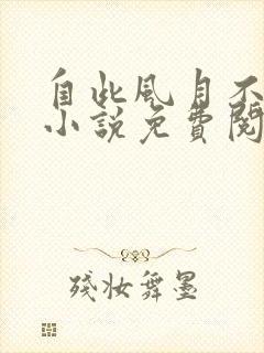 自此风月不相逢小说免费阅读封面
