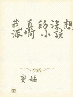 我真的没想当反派啊 小说