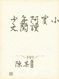 少年阿宾小说全文阅读