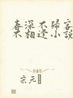 春深不归客清梦不相逢小说封面