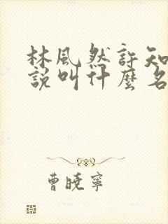 林风然许知唯小说叫什么名字