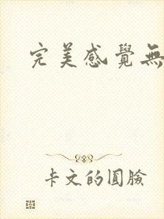 完美感觉无删减