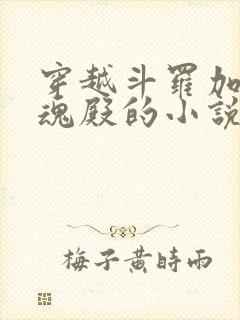 穿越斗罗加入武魂殿的小说