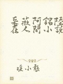 采薇阿铭陆三平在人间小说