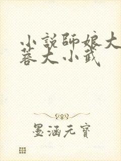 小说师娘大肚黄蓉大小武封面