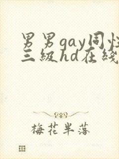 男男gay同性三级hd在线