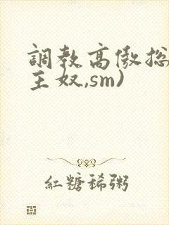 调教高傲总裁(主奴,sm)