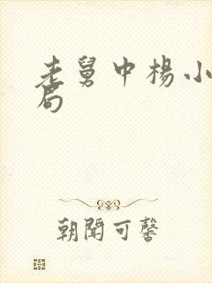 老舅中杨小姐结局