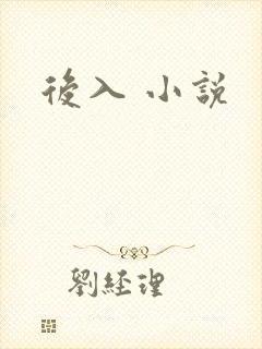 后入 小说